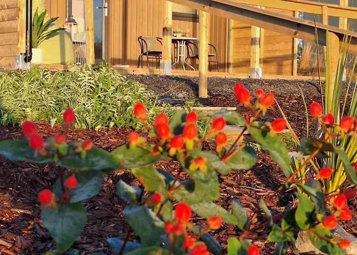 Pond Pine 2ppl Adults Only *